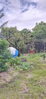 Bán đất Đường Số 16 Thôn Ngọc Sơn Tây, xã Bình Phúc THĂNG BÌNH, Quảng Nam (khu khác) – 600 m², 3 tỷ – ảnh 13