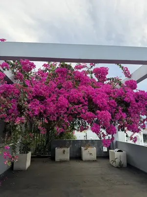 Bán nhà Hoàng Bật Đạt, Ngũ Hành Sơn – 103 m², 3 tầng, 6,99 tỷ – ảnh 14