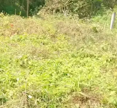 Bán đất Quảng Nam (khu khác) – 132 m², 600 triệu