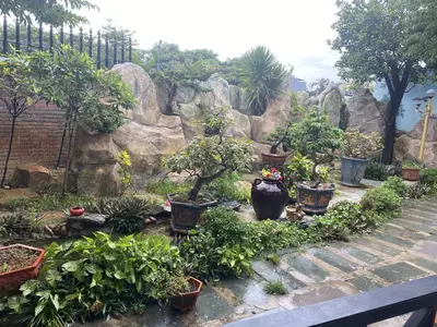 Bán nhà Vùng Trung, Ngũ Hành Sơn – 776 m², 2 tầng, 65 tỷ – ảnh 11