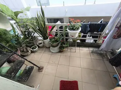 Bán nhà Kiệt Lê Độ, Thanh Khê – 26 m², 3,3 tầng, 2,62 tỷ