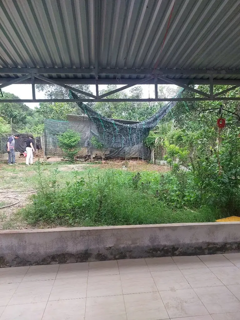 Bán nhà cấp 4 Hòa Ninh, Hòa Vang – 250 m², 2,75 tỷ – ảnh 2