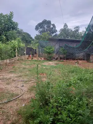 Bán nhà cấp 4 Hòa Ninh, Hòa Vang – 250 m², 2,75 tỷ – ảnh 9