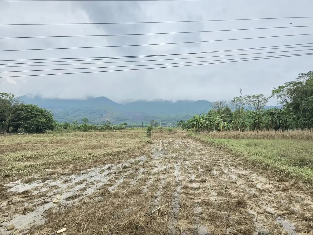 Bán đất Thôn Tam Hòa, Huế – 100 m², 950 triệu – ảnh 2