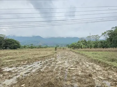 Bán đất Thôn Tam Hòa, Huế – 100 m², 950 triệu – ảnh 2