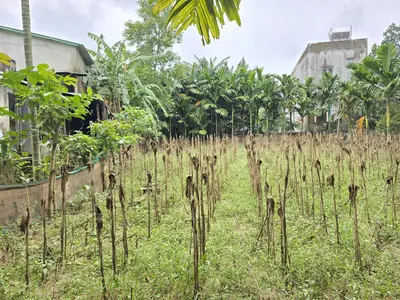 Bán đất Thôn Tam Hòa, Huế – 100 m², 950 triệu – ảnh 8