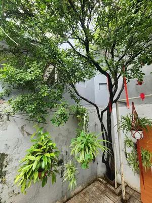 Bán nhà Phan Thanh, Thanh Khê – 124 m², 2 tầng, 8,95 tỷ – ảnh 10