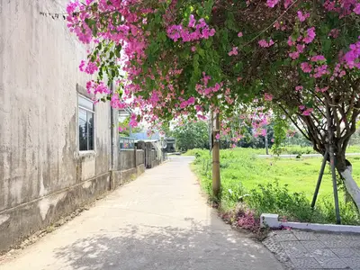 Bán đất Phú Sơn 3 HOÀ TIẾN, Hòa Vang – 195,2 m², 1,47 tỷ – ảnh 7