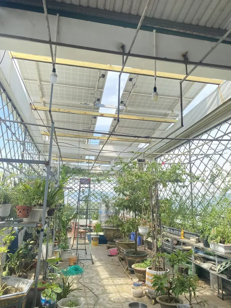 Bán nhà mặt tiền Phạm Như Xương, Liên Chiểu – 165 m², 5 tầng, 16,8 tỷ – ảnh 5