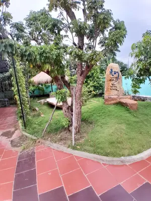 Bán nhà cấp 4 Quốc lộ 14, Hòa Vang – 910 m², 17,5 tỷ