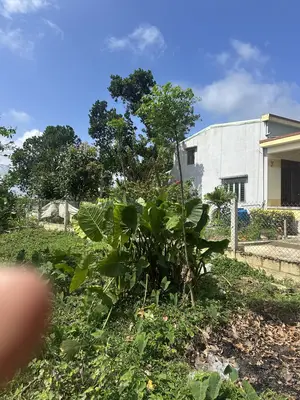 Bán đất Túy Loan Hòa Phong, Hòa Vang – 142 m², 1,8 tỷ – ảnh 2