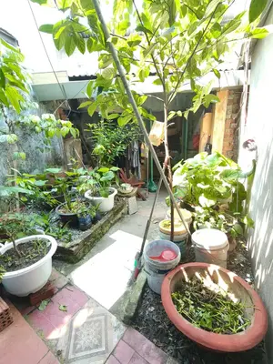 Bán nhà Kiệt Nguyễn Lương Bằng, Liên Chiểu – 155 m², 2 tầng, 4,75 tỷ – ảnh 6