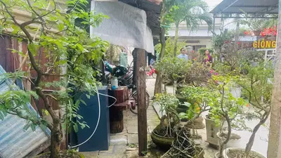 Bán nhà mặt tiền Phù Đổng Thiên Vương, Hội An – 281 m², 2 tầng, 8,2 tỷ – ảnh 7