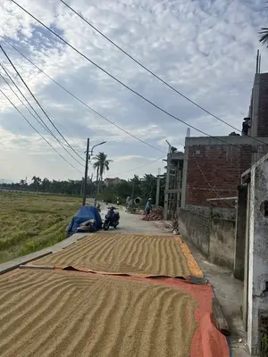 Bán đất Quang Châu – Hòa Xuân Mới, Cẩm Lệ – 120 m², 3 tỷ – ảnh 3