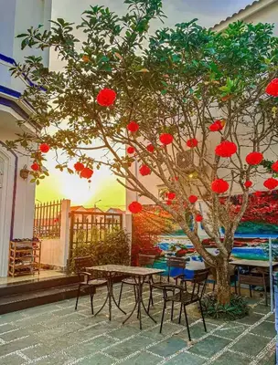 Bán nhà mặt tiền Villa Phan Khôi, Hội An – 163 m², 3 tầng, 13,5 tỷ – ảnh 1