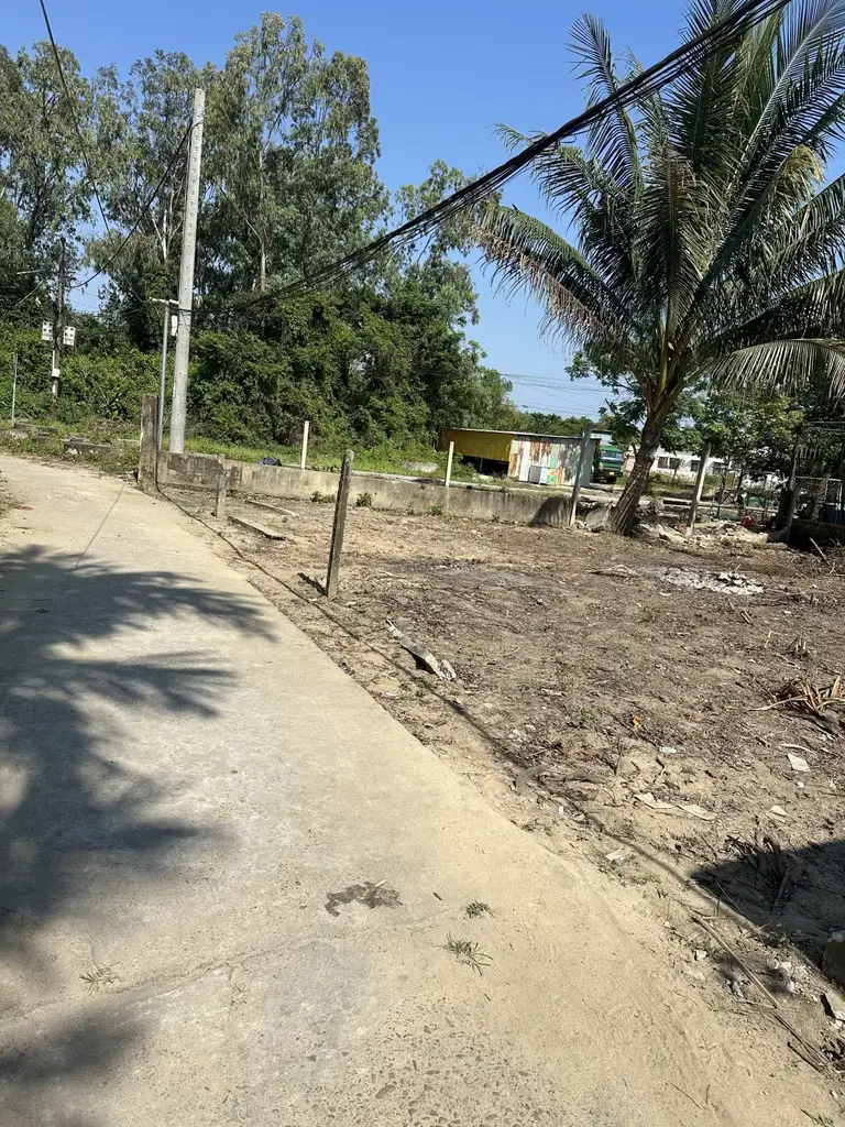 Bán đất Miếu Bông, Cẩm Lệ – 152 m², 2,9 tỷ – ảnh 3