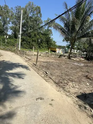 Bán đất Miếu Bông, Cẩm Lệ – 152 m², 2,9 tỷ – ảnh 3