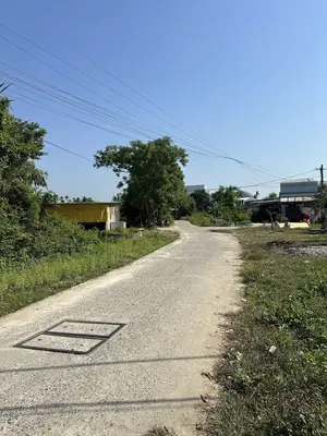 Bán đất Miếu Bông, Cẩm Lệ – 152 m², 2,9 tỷ – ảnh 5
