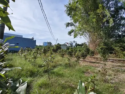Bán nhà Bàu Súng – Thanh Hà, Hội An – 270 m², 16 tầng, 3,1 tỷ