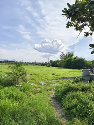 Bán nhà Bàu Súng – Thanh Hà, Hội An – 270 m², 16 tầng, 3,1 tỷ – ảnh 3