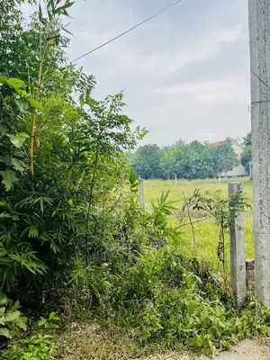 Bán đất Đường ĐX, Quảng Nam (khu khác) – 177 m², 1,2 tỷ
