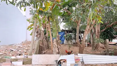 Bán đất Khái Tây 1, Ngũ Hành Sơn – 83 m², 2,99 tỷ