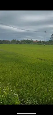 Bán đất Thanh Hà, Hội An – 288,4 m², 5,4 tỷ – ảnh 2