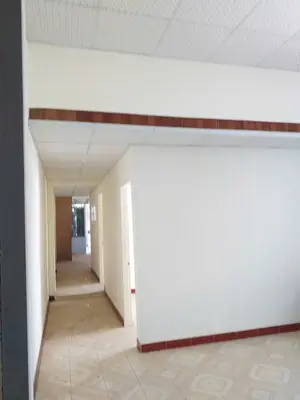 Bán nhà cấp 4 An Trung Đông 7, Sơn Trà – 100 m², 12,9 tỷ – ảnh 6