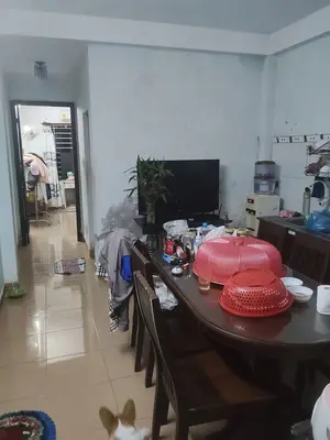 Bán nhà Hồ Xuân Hương, Ngũ Hành Sơn – 96 m², 3 tầng, 11,4 tỷ – ảnh 3