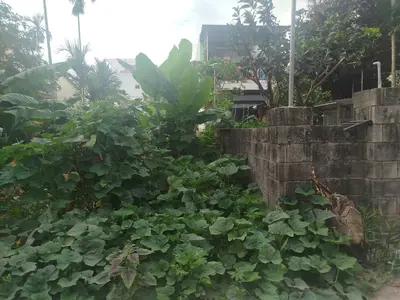 Bán đất Cẩm Nam, Hội An – 165 m², 2,4 tỷ – ảnh 4