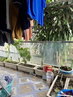 Bán nhà Trần Cao Vân, Thanh Khê – 38 m², 2 tầng, 2,7 tỷ – ảnh 2