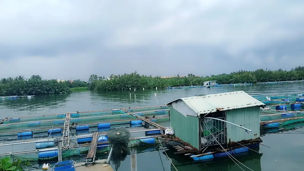 Bán đất mặt tiền KĐT Phước Trạch, Hội An – 316 m², 16,5 tỷ – ảnh 4