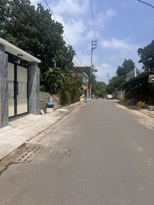 Bán đất Tôn Đản, Cẩm Lệ – 84,6 m², 3,98 tỷ – ảnh 2