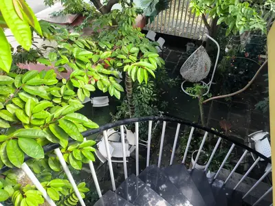 Bán nhà mặt tiền Trần Nguyên Đán, Hội An – 318 m², 2 tầng, 4,8 tỷ – ảnh 5