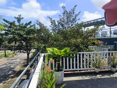 Bán nhà mặt tiền Trần Nguyên Đán, Hội An – 318 m², 2 tầng, 4,8 tỷ – ảnh 9