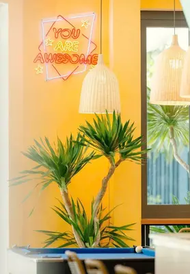Bán nhà mặt tiền Nguyễn Đình, Sơn Trà – 124 m², 6 tầng, 33,5 tỷ – ảnh 3