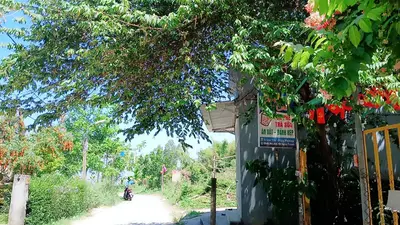 Bán đất Chè Tàu 1, Cẩm Kim, Hội An – 230 m², 4,1 tỷ – ảnh 13