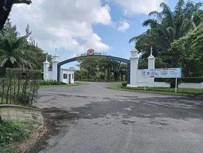 Bán đất mặt tiền Nguyễn Gia Thiều, Điện Bàn – 295 m², 10,9 tỷ – ảnh 5