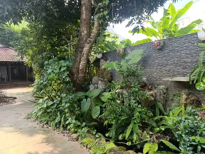 Bán nhà Đường Đt604, Hòa Vang – 260 m², 1 tầng, 5,5 tỷ – ảnh 4