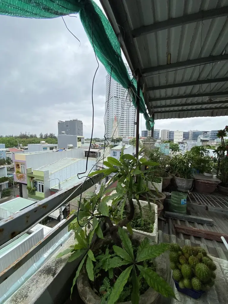 Bán nhà mặt tiền Đinh Công Tráng, Hải Châu – 62 m², 4 tầng, 8,6 tỷ – ảnh 4