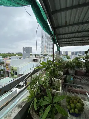 Bán nhà mặt tiền Đinh Công Tráng, Hải Châu – 62 m², 4 tầng, 8,6 tỷ – ảnh 4