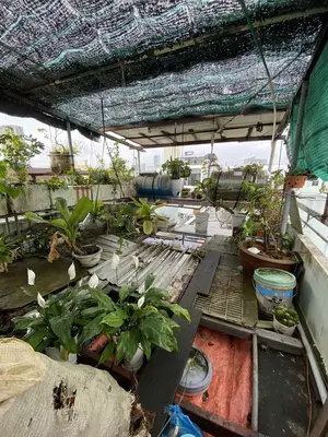 Bán nhà mặt tiền Đinh Công Tráng, Hải Châu – 62 m², 4 tầng, 8,6 tỷ – ảnh 8
