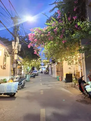 Bán nhà cấp 4 Nguyễn Văn Thoại, Ngũ Hành Sơn – 110 m², 17,8 tỷ