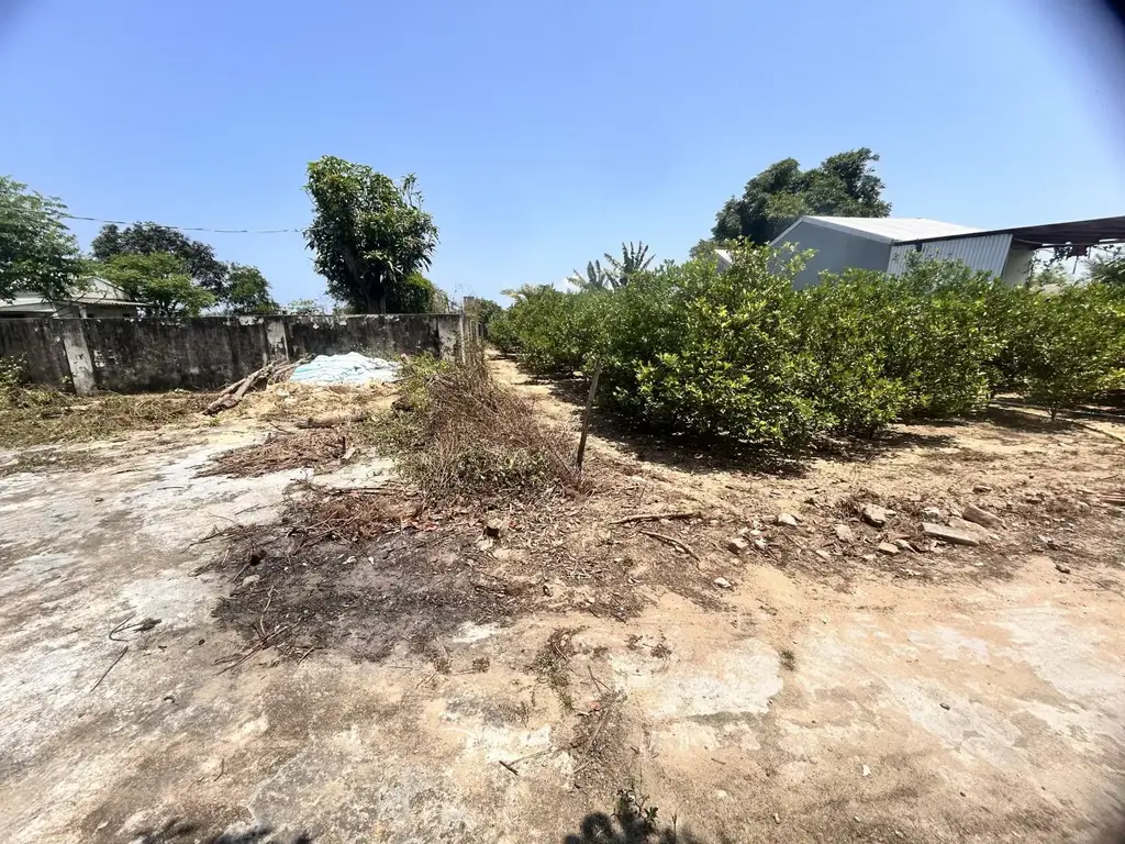 Bán nhà Hà My Trung – Điện Dương 650, Quảng Nam (khu khác) – 16,3 m², 40 tầng, 5 tỷ – ảnh 5