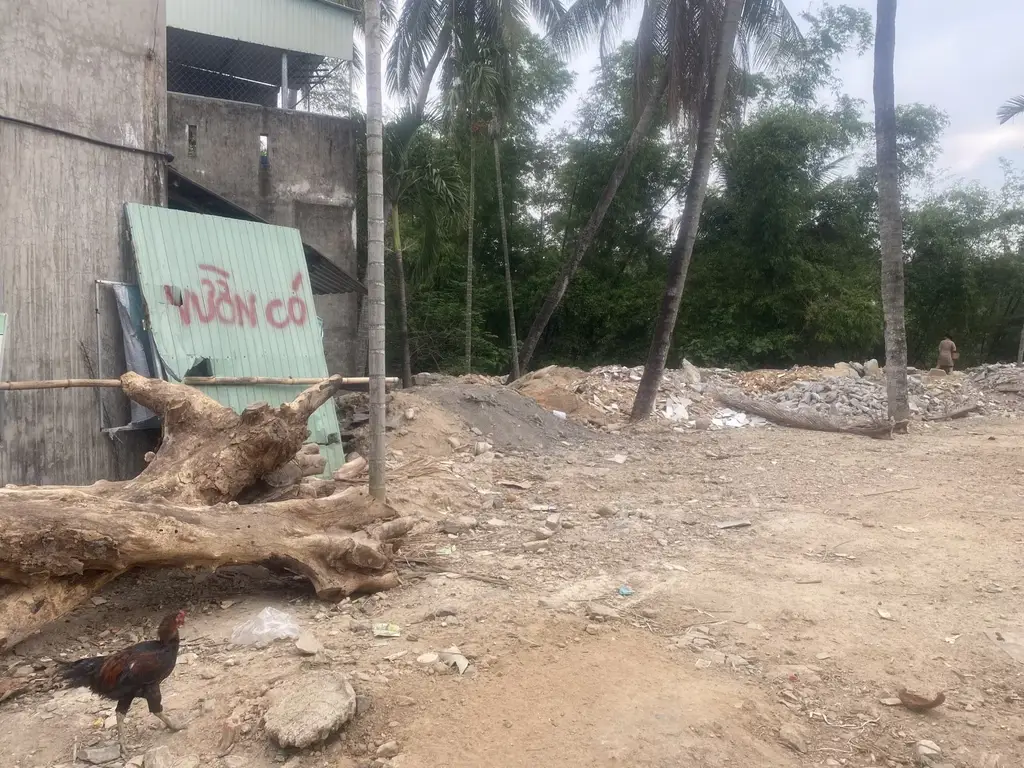 Bán đất Ngô Xuân Thu, Liên Chiểu – 806 m², 15,5 tỷ – ảnh 2
