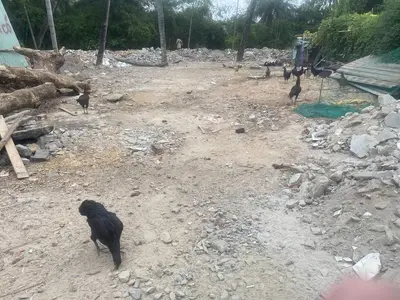 Bán đất Ngô Xuân Thu, Liên Chiểu – 806 m², 15,5 tỷ – ảnh 3