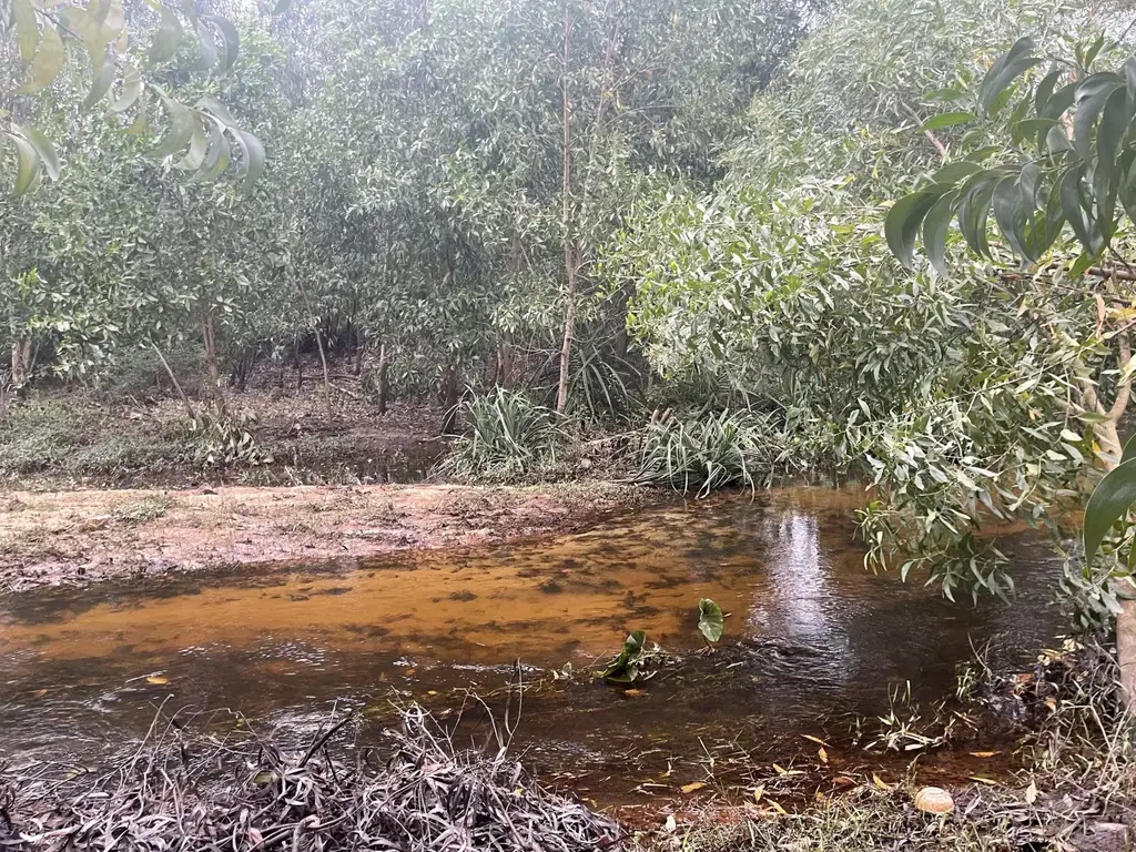 Bán đất Bình Dương Thăng Bình, Quảng Nam (khu khác) – 1.679,2 m², 3 tỷ – ảnh 4