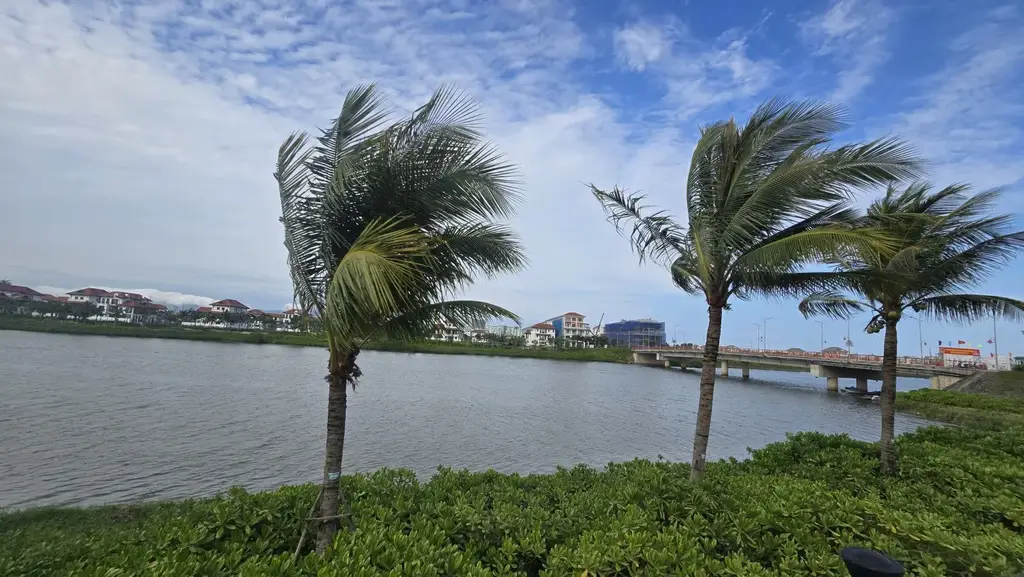 Bán đất Bờ Quan 9, Cẩm Lệ – 100 m², 7,2 tỷ – ảnh 3