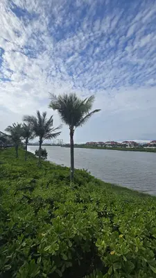 Bán đất Bờ Quan 9, Cẩm Lệ – 100 m², 7,2 tỷ – ảnh 8