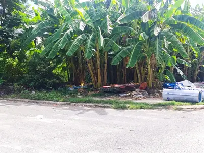 Bán đất mặt tiền Miếu Bông 4, Cẩm Lệ – 92,4 m², 3,72 tỷ – ảnh 3